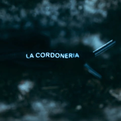 Par Cordones Reflex Classic Black - comprar online