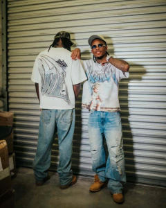 Remera Mixed Emotion Boxy Fit Strass Dove Rhinestone Tee 160 U$D - KITCH TECH