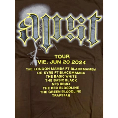 Remera Trapstar 2.0 Marron/Negro en internet