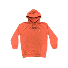 Buzo Hoodie Turbulence Ladrillo