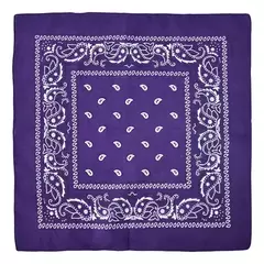 Imagen de Pañuelo Bandana 100% Algodon Varios Colores