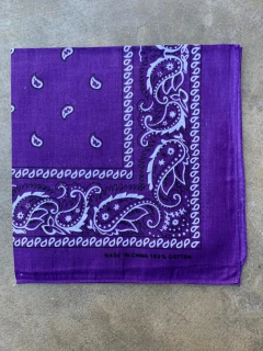 Pañuelo Bandana 100% Algodon Varios Colores en internet