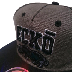Gorra Ecko Unldt Original Importada Snapback Regulable Mod 3 en internet