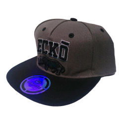 Gorra Ecko Unldt Original Importada Snapback Regulable Mod 3