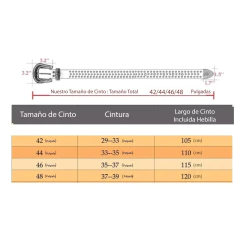 Cinto Cinturon Cowboy Bb Belt Hebilla Strass Trap Modelo 29 en internet