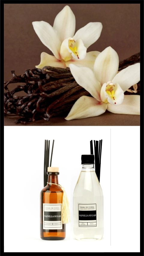 DIFUSOR + REFILL VAINILLA SUGAR