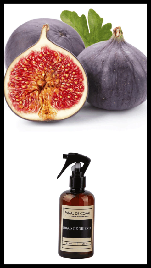 BODY SPLASH - HIGOS DE ORIENTE