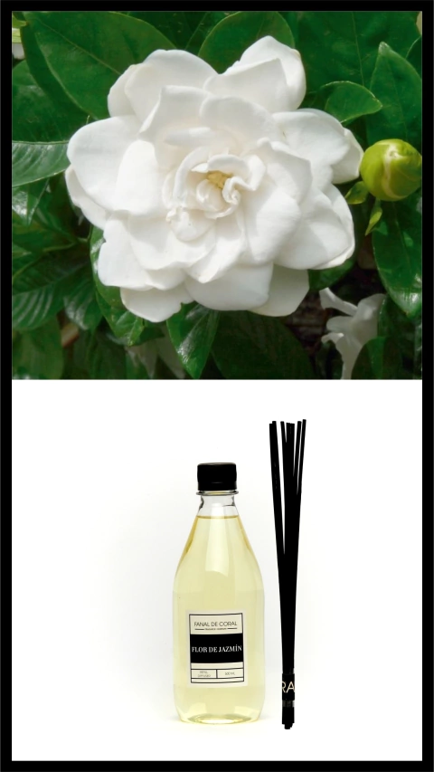 REFILL FLOR DE JAZMÍN + 7 VARILLAS
