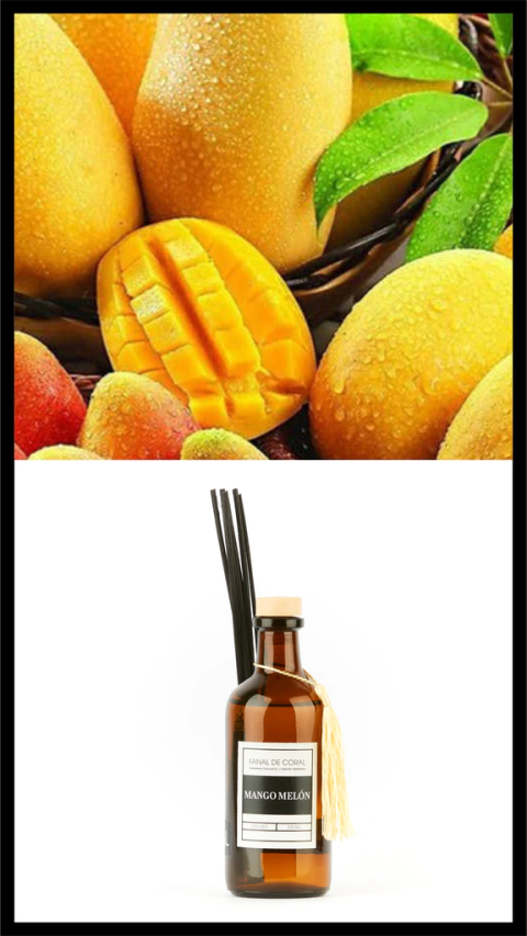 DIFUSOR MANGO MELÓN