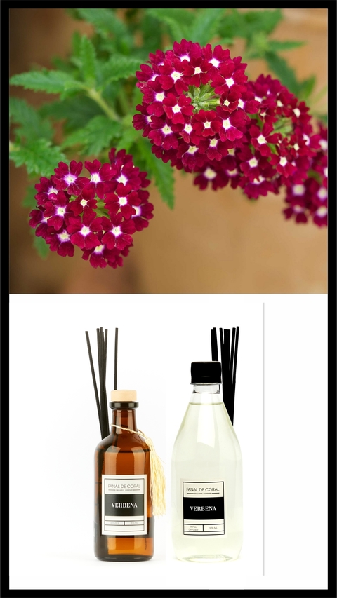 DIFUSOR + REFILL VERBENA