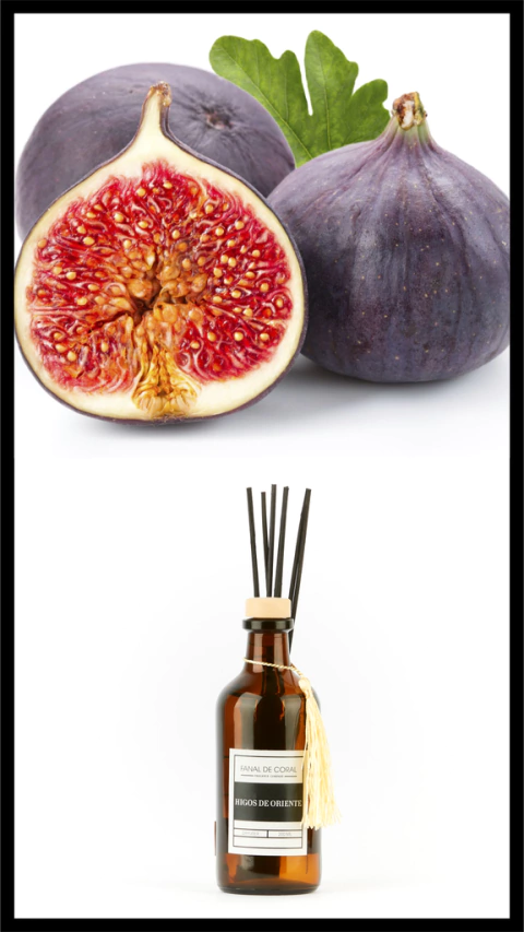 DIFUSOR HIGOS DE ORIENTE