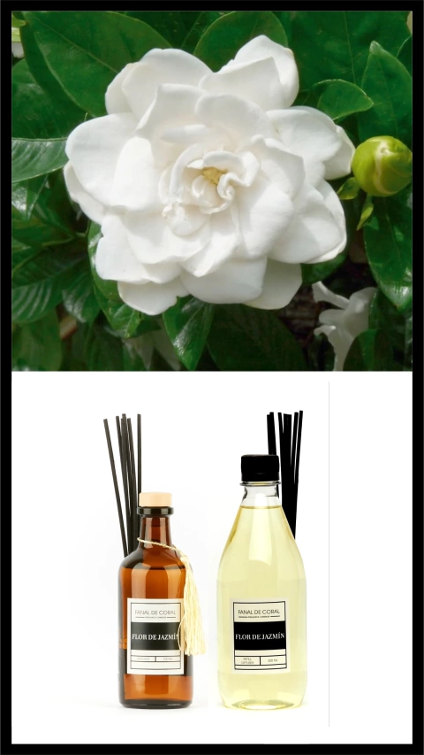 DIFUSOR + REFILL FLOR DE JAZMÍN