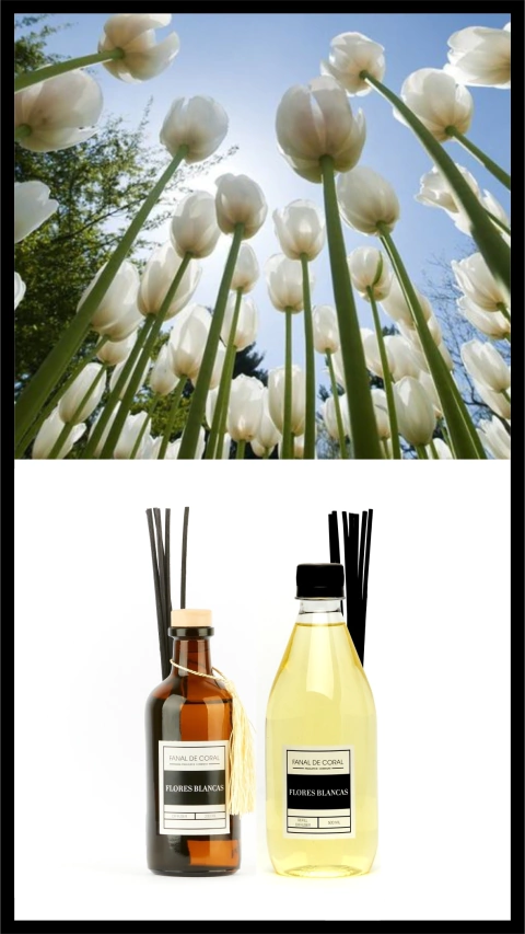 DIFUSOR + REFILL FLORES BLANCAS