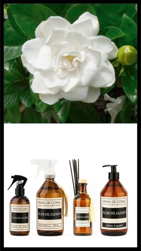 SET FLOR DE JAZMÍN