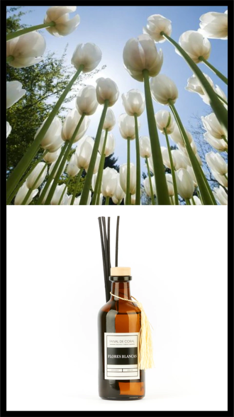 DIFUSOR FLORES BLANCAS
