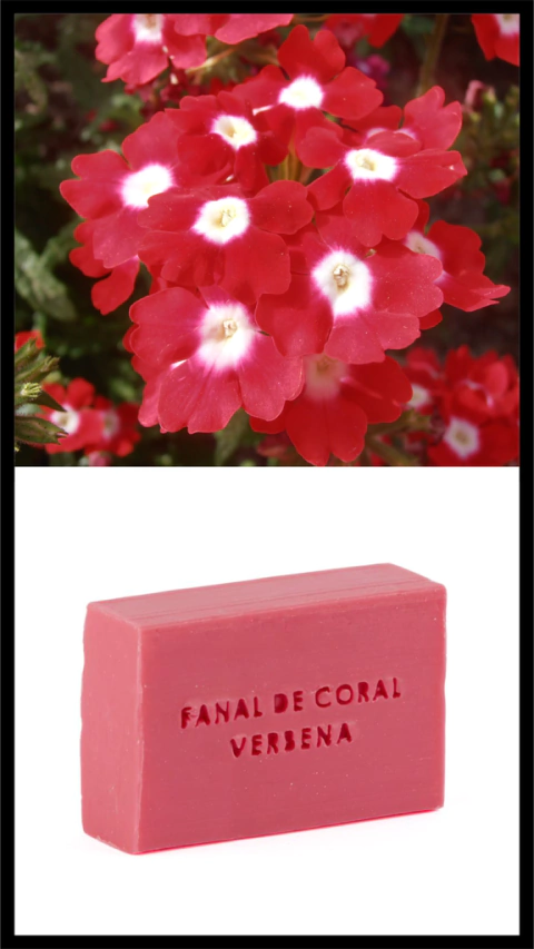 JABÓN SÓLIDO VERBENA