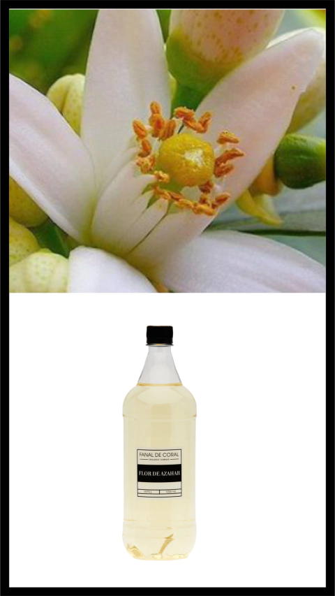 REFILL FLOR DE AZAHAR