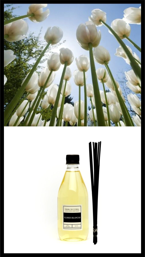 REFILL FLORES BLANCAS +7 VARILLAS