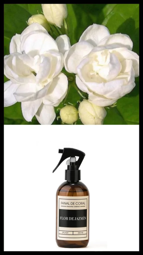 BODY SPLASH - FLOR DE JAZMÍN