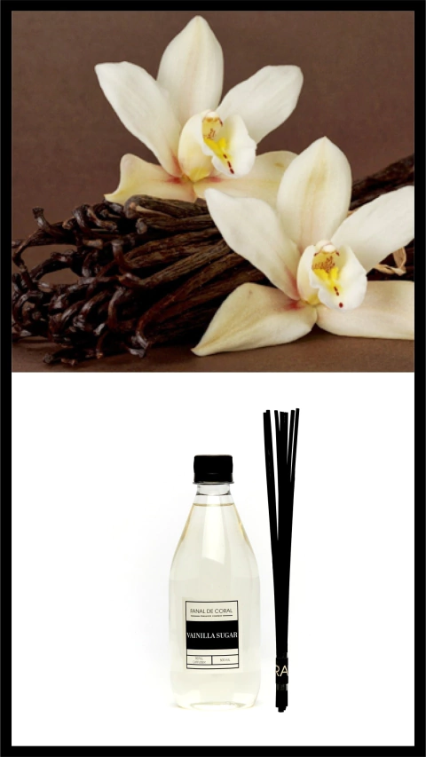 REFILL VAINILLA SUGAR + 7 VARILLAS