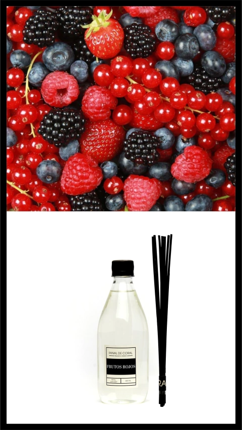 REFILL FRUTOS ROJOS + 7 varillas