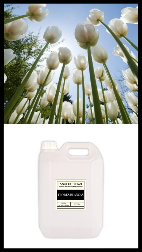 FLORES BLANCAS 5 litros