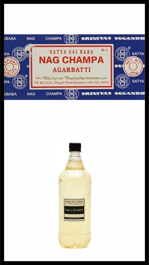 REFILL JABON NAG CHAMPA