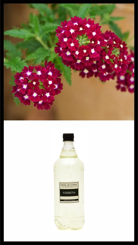 REFILL JABON VERBENA