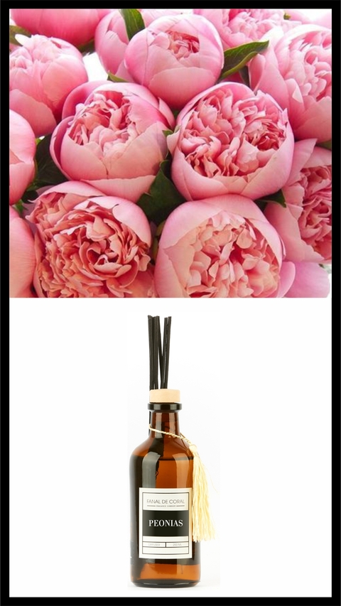 DIFUSOR PEONIAS