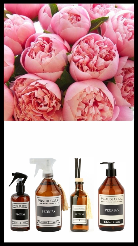 SET PEONIAS