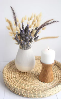 BANDEJA NUT en internet