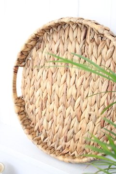 BANDEJA SEAGRASS en internet