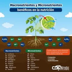 Kit Sales Nutritivas Hidroponía Huerta+ Sustrato Iniciador Huertas 10lt - comprar online