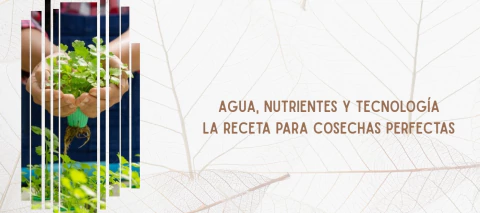 Carrusel Planeta Verde