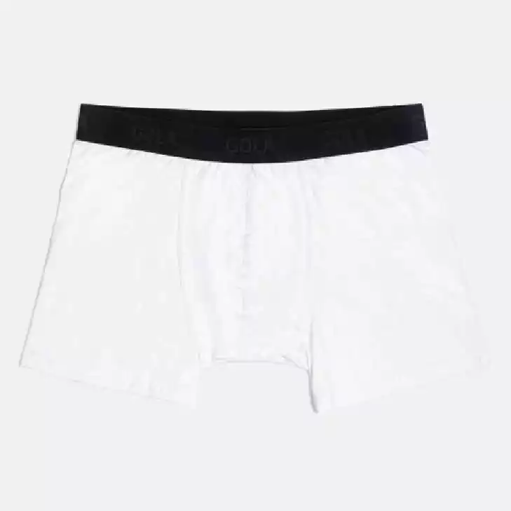 BOXER LISO