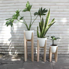 PIE WOODA en internet