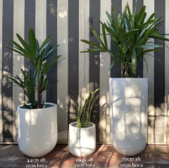 Imagen de CONCA FINA FV