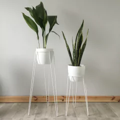 COMBO PIE HIERRO M Y L en internet