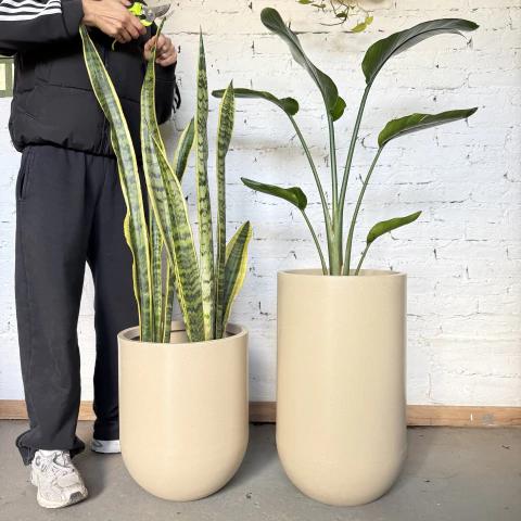 CONCA ROTOMOLDEADO - comprar online