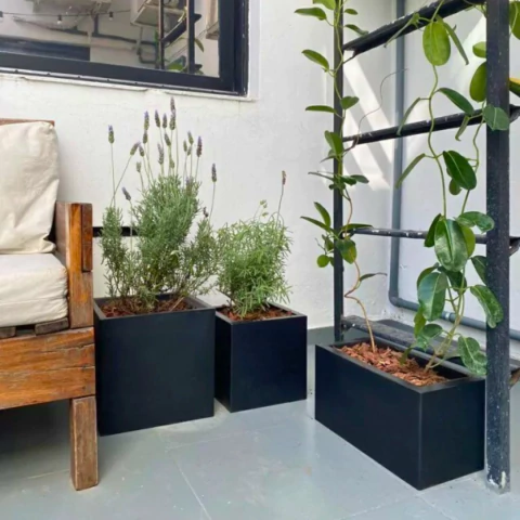 CUBO - comprar online