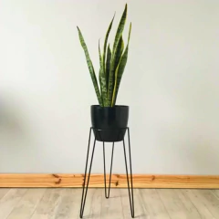 PIE HIERRO M 50CM ALTURA + MACETA - comprar online