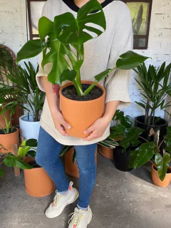 CILINDRO TERRACOTA - Maz Macetas