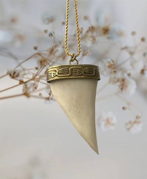 Collar de acero dorado con dije de bronce, cuerno de hueso