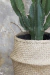 Canasto Vietnam - comprar online