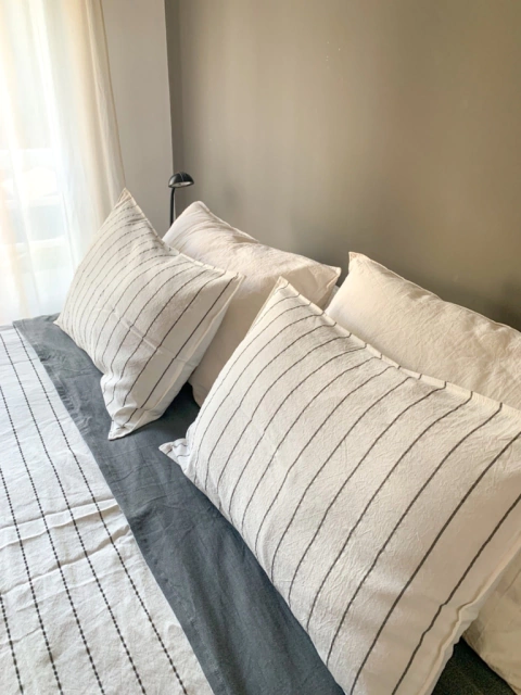 Pack x2 almohadones Niza 50x70 - Grafito