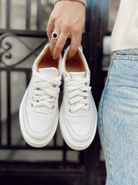 Hortensia blanca en internet