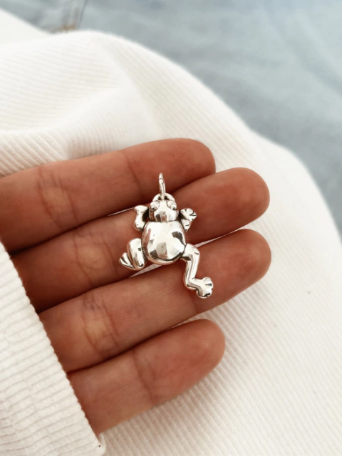 Dije de plata 925 - Rana