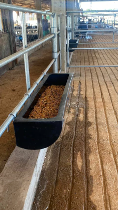 Cocho para gado 50 Litros - loja online