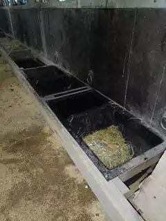 Cocho Duplo / comedouro com divisórias 100 litros - loja online