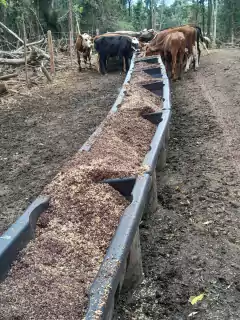 CONFINA COCHO na internet